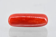 8.64/Carat Natural Cylindrical Red Coral (1800)